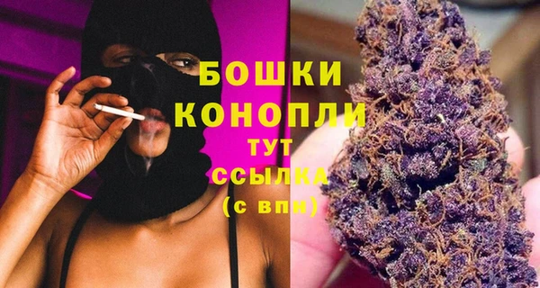 крисы Медногорск