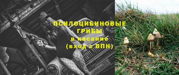 ALPHA-PVP Медвежьегорск